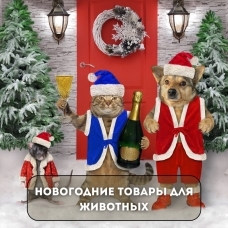 Новогодний шоппинг