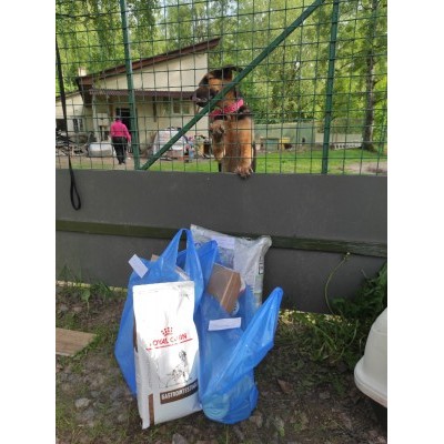 ПЕРЕДАЧА ПОДАРКОВ (24.05-29.05) В Приют "Галкино подворье"