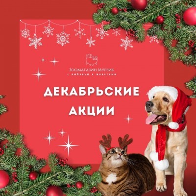 АКЦИИ ВТОРОЙ ПОЛОВИНЫ ДЕКАБРЯ
