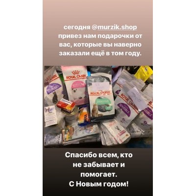 ПЕРЕДАЧА ПОДАРКОВ (03.01-09.01) В АНО "Центральный приют кошек"