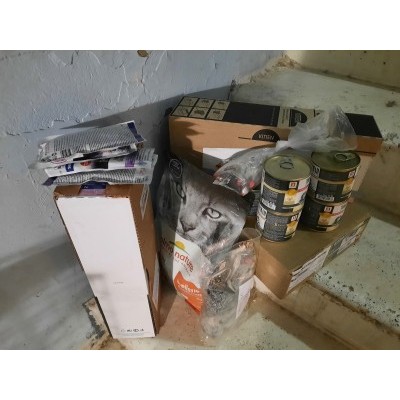 ПЕРЕДАЧА ПОДАРКОВ (03.01-09.01) В Волонтерский мини-приют "HelpCats"