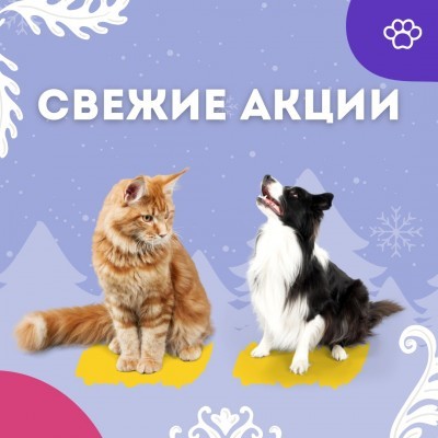 Актуальные акции января 