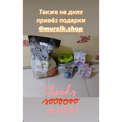 ПЕРЕДАЧА ПОДАРКОВ (24.01-30.01) В АНО "Центральный приют кошек"
