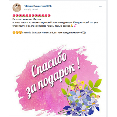ПЕРЕДАЧА ПОДАРКОВ (07.02-13.02) В Приют "Мягкие пушистики"