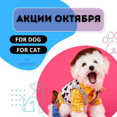 АКЦИИ ОКТЯБРЯ