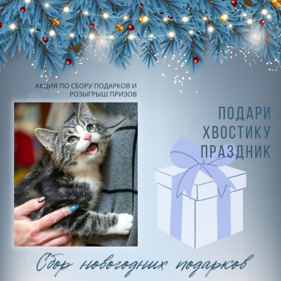 НОВОГОДНЕЕ ЧУДО: подарки в Приют "Убежище" 1 декабря - 8 января
