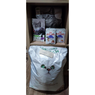 НОВОГОДНЕЕ ЧУДО: подарки в Приют "Котэ" 1 декабря - 8 января 