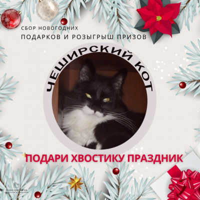 НОВОГОДНЕЕ ЧУДО: подарки в Приют "Чеширский кот" 1 декабря - 8 января