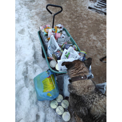 НОВОГОДНЕЕ ЧУДО: подарки в Приют "Ильинка" 1 декабря - 8 января 