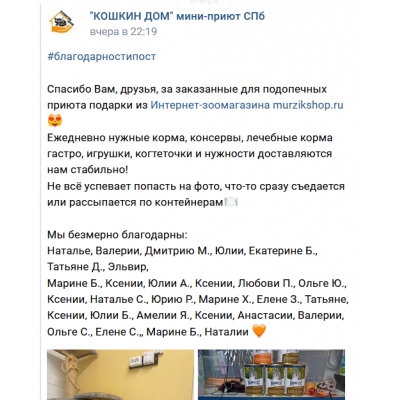 ПЕРЕДАЧА ПОДАРКОВ (20.06.2023) В Мини-приют "Кошкин дом"