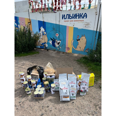 ПЕРЕДАЧА ПОДАРКОВ (15.07-20.07) В Приют для собак "Ильинка"