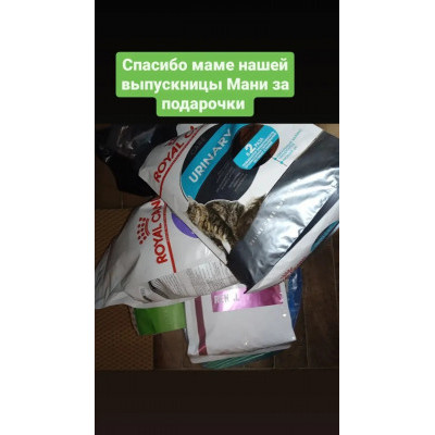 ПЕРЕДАЧА ПОДАРКОВ (15.08-21.08) В Мини-приют Светланы Хабиевой 