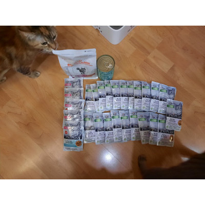 ДОБРО, ПОДАРКИ, НОВЫЙ ГОД! Отчет по новогодней акции, передача подарков в Мини-приют для кошек "Мишенька" ДОБРО, ПОДАРКИ, НОВЫЙ ГОД! Отчет по новогодней акции, передача подарков в Мини-приют для кошек "Мишенька"