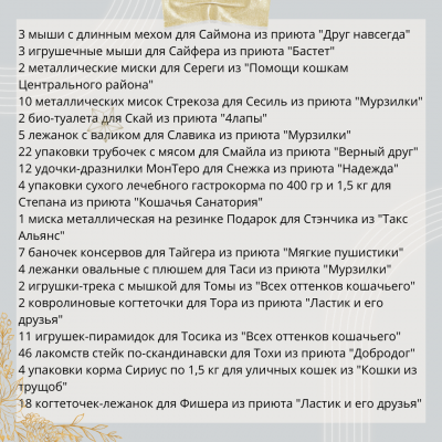 Отчет о передаче именных подарков по акции "Добро, подарки, Новый год!" Часть 1.