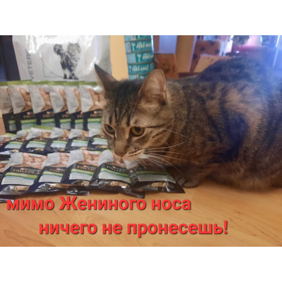 ПЕРЕДАЧА ПОДАРКОВ (дополнительный отчет ЯНВАРЬ 2024) В Мини-приют для кошек "Мишенька"