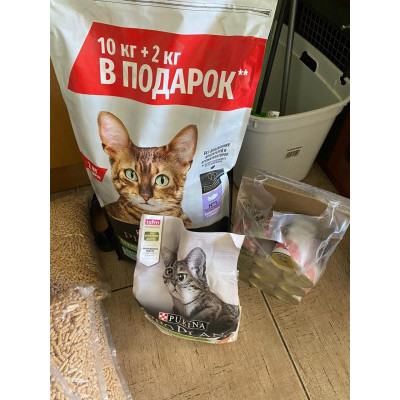ПЕРЕДАЧА ПОДАРКОВ (01.05-19.05) В Мини-приют для кошек "Нас предали!" 