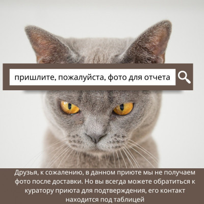 ПЕРЕДАЧА ПОДАРКОВ (13-19.09) В Мини-приют для кошек "Нас предали!" 