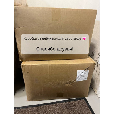 ПЕРЕДАЧА ПОДАРКОВ (23-29.08) В Приют "Особый друг" ПЕРЕДАЧА ПОДАРКОВ (23-29.08) В Приют "Особый друг"
