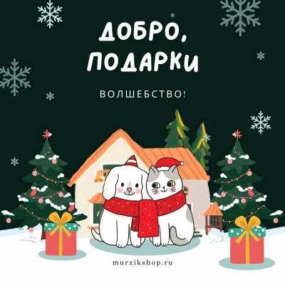 ПЕРЕДАЧА ПОДАРКОВ  "Добро, подарки, Волшебство!" Часть 2
