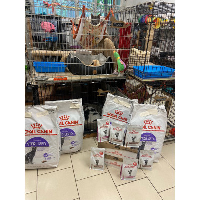 ПЕРЕДАЧА ПОДАРКОВ (23-29.05) В Приют "Убежище"