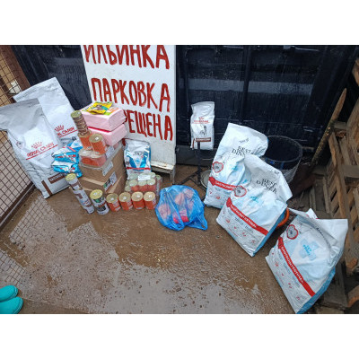 ПЕРЕДАЧА ПОДАРКОВ (29-04.12) В Приют для собак "Ильинка"