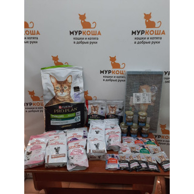 ПЕРЕДАЧА ПОДАРКОВ (23 - 29.01) В Adoption центр для кошек "Муркоша" (Москва)