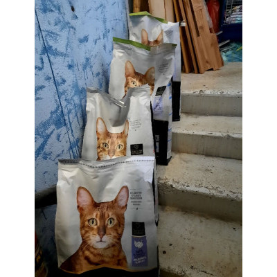 ПЕРЕДАЧА ПОДАРКОВ (30 - 05.02) В Приют "Кошки Северной Пальмиры" (бывший "HelpCats")