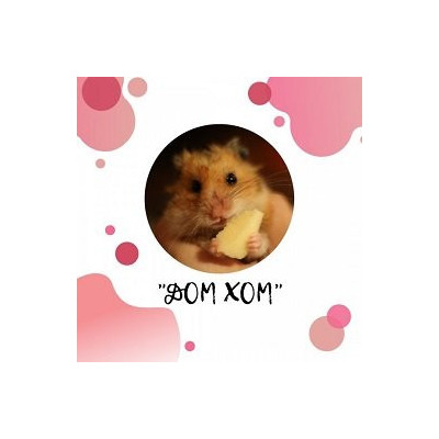 Приют  "Дом Хом" (Крысоленд)