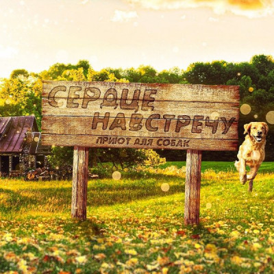 Приют "Сердце навстречу" (Каменногорск)