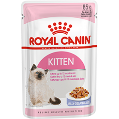 Приют Мартышкин и другие. Royal Canin KITTEN INSTINCTIVE Роял Канин КИТТЕН ИНСТИНКТИВ Нежные кусочки В ЖЕЛЕ для котят до 12 мес. и беременных кошек