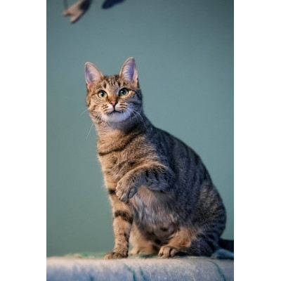 Мила