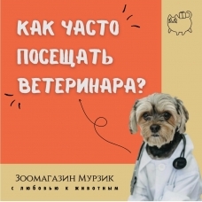 Как часто посещать ветеринара?