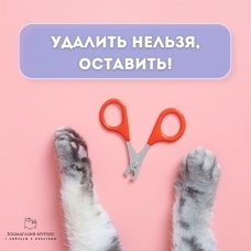 Удалить нельзя оставить