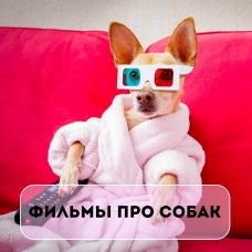 Фильмы про собак