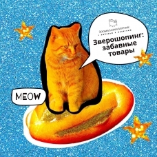 Зверошопинг: забавные товары