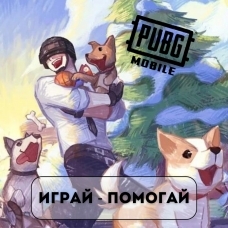 Играй-помогай