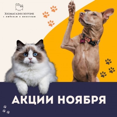 АКЦИИ НОЯБРЯ