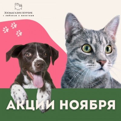АКЦИИ НОЯБРЯ