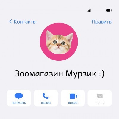 Номер телефона для звонков 20 и 21 ноября