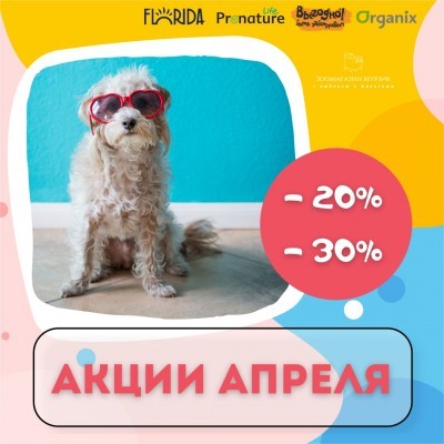АКЦИИ ПЕРВОЙ ПОЛОВИНЫ АПРЕЛЯ
