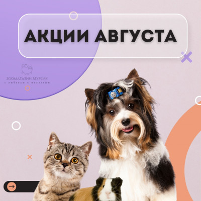 АКЦИИ АВГУСТА