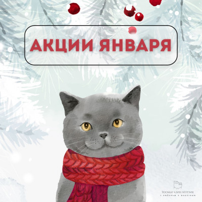 АКЦИИ ЯНВАРЯ