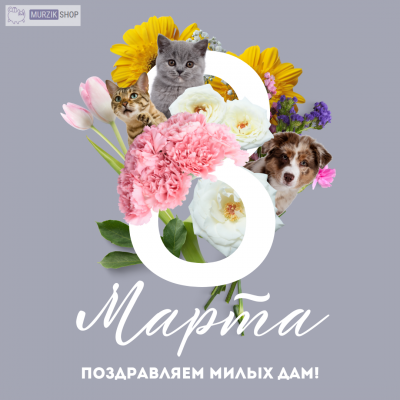 МИЛЫХ ДАМ С ПРЕКРАСНЫМ ПРЕЗДНИКОМ!