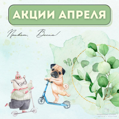 АКЦИИ АПРЕЛЯ