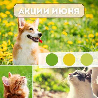 АКЦИИ ИЮНЯ