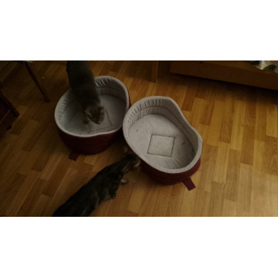 ПЕРЕДАЧА ПОДАРКОВ (17-30.01.) В Приют "Кошачья Санатория"