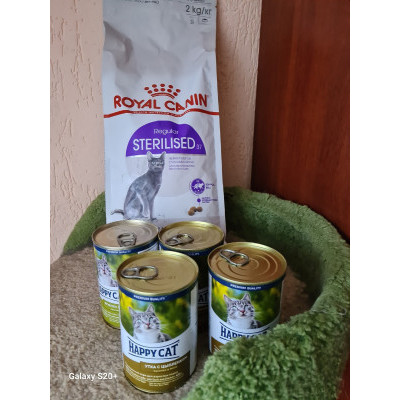 ПЕРЕДАЧА ПОДАРКОВ (28-06.03) В Группа помощи животным "Котята-смертники"