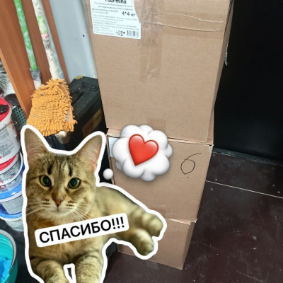 ПЕРЕДАЧА ПОДАРКОВ (07-13.03) В Мини-приют "Мурзилки" ПЕРЕДАЧА ПОДАРКОВ (07-13.03) В Мини-приют "Мурзилки"