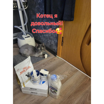 ПЕРЕДАЧА ПОДАРКОВ (11-17.04) В Группа помощи животным "Право Жить"