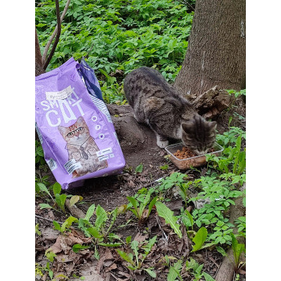 ПЕРЕДАЧА ПОДАРКОВ (04-10.04) В Группа помощи животным "Пушистым нужен дом" ПЕРЕДАЧА ПОДАРКОВ (04-10.04) В Группа помощи животным "Пушистым нужен дом"